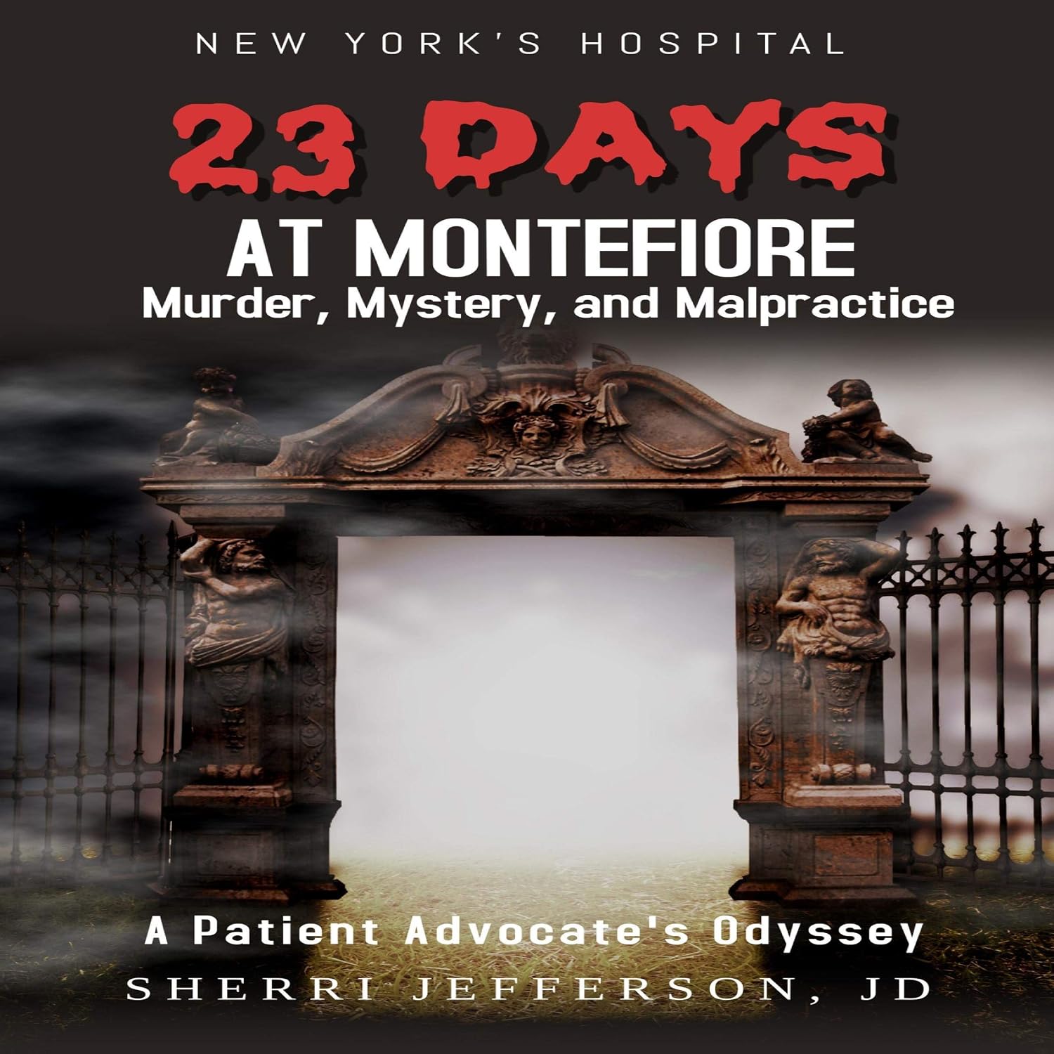 23 Days at Montefiore: Murder, Mystery, and Malpractice: A Patient Advocate's Odyssey baixar o livro de graça