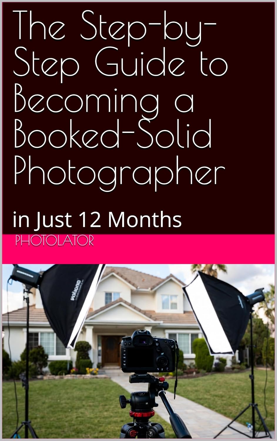 The Step-by-Step Guide to Becoming a Booked-Solid Photographer: in Just 12 Months (Photography Guides Book 2) (English Edition) baixar o livro de graça