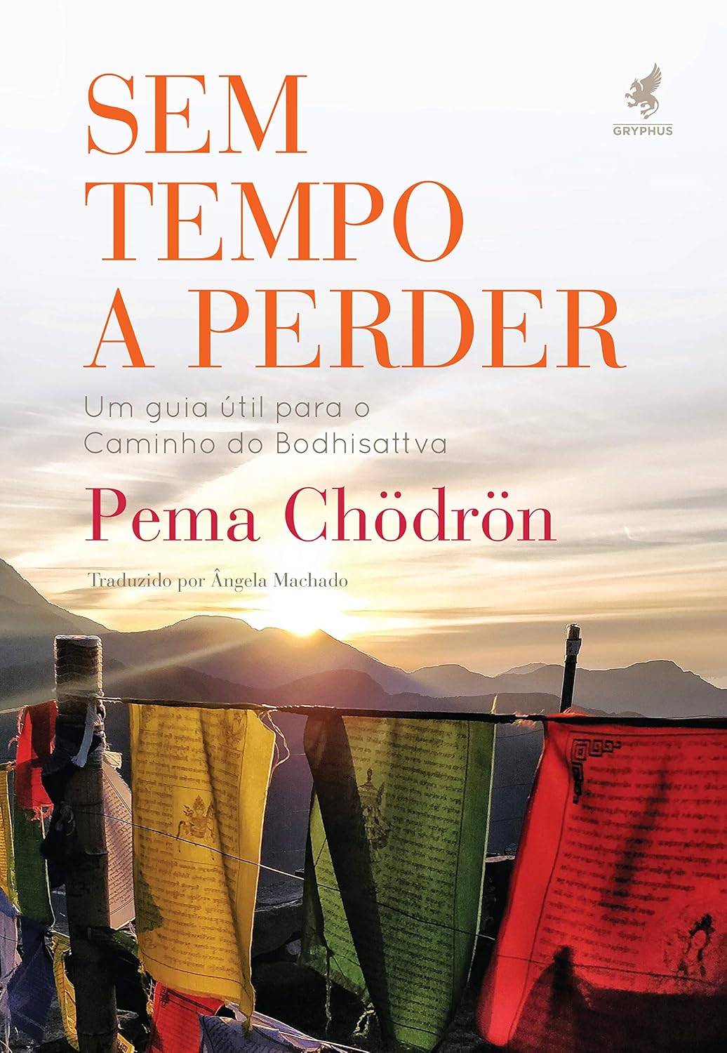 Sem tempo a perder: Um Guia para o Caminho do Bodhisattva baixar o livro de graça