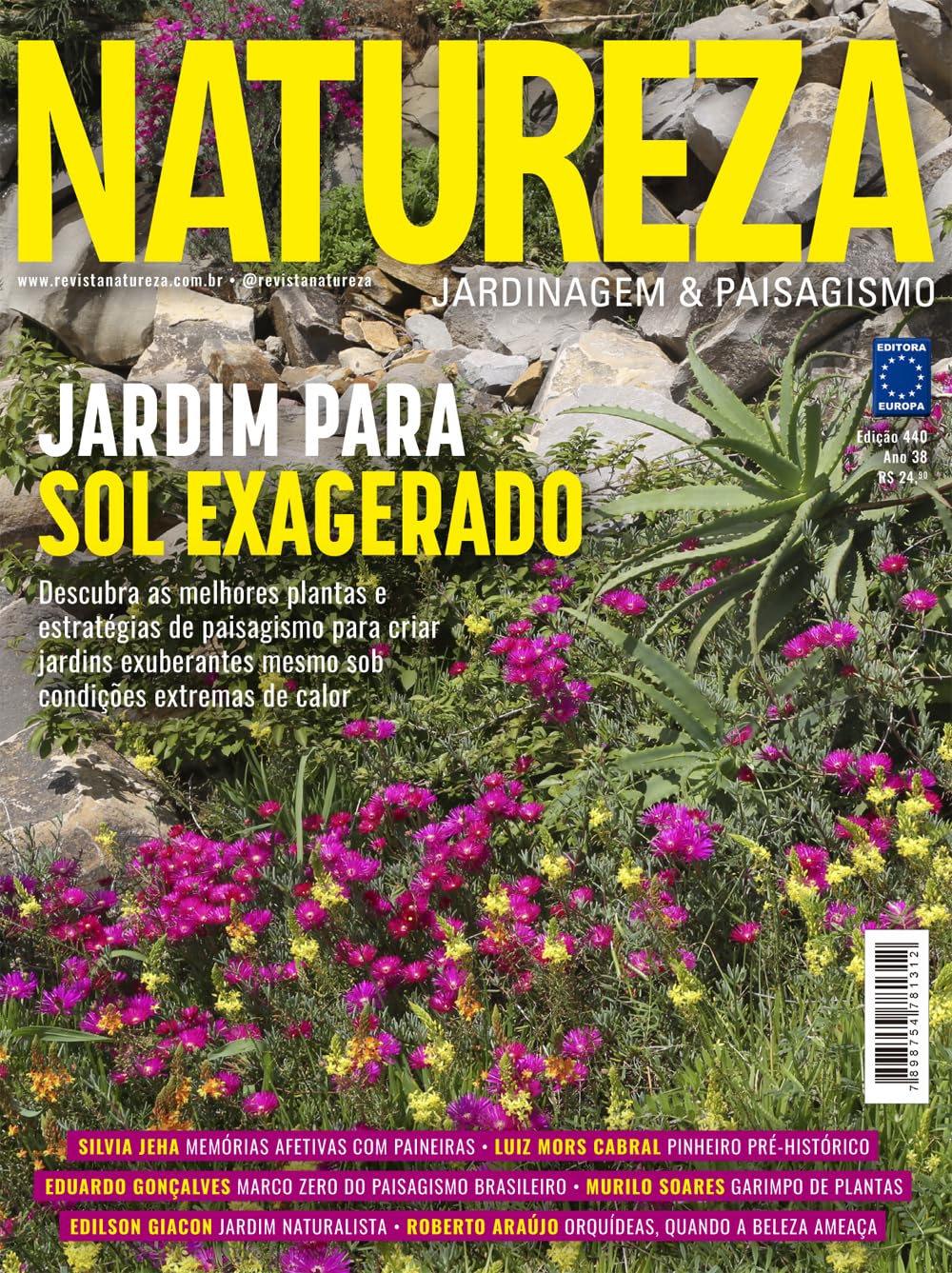 Revista Natureza 440 baixar o livro de graça