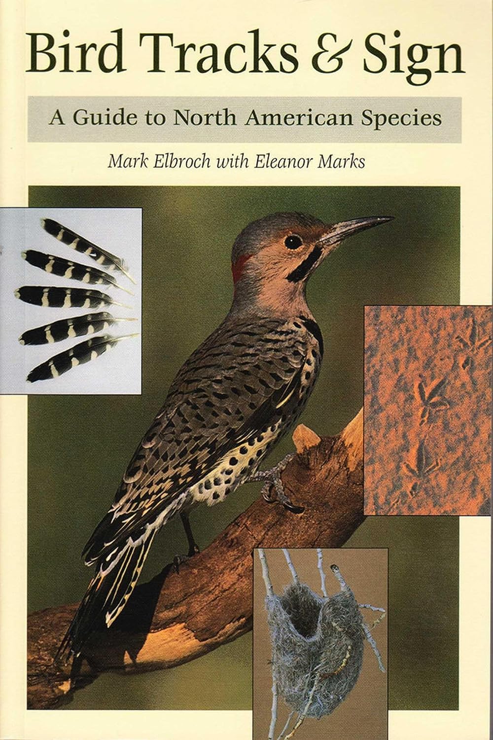Bird Tracks & Sign (English Edition) baixar o livro de graça