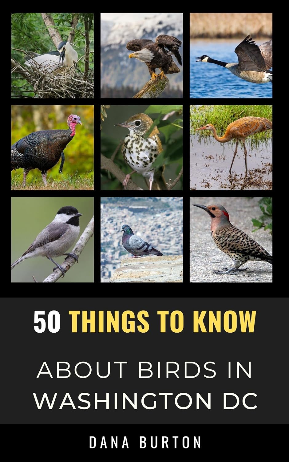 50 Things to Know About Birds in Washington District of Columbia: Birdwatching Guide, Bird Identification, Local Species, & Backyard Birds (50 Things... and regional bird books) (English Edition) baixar livro de graça