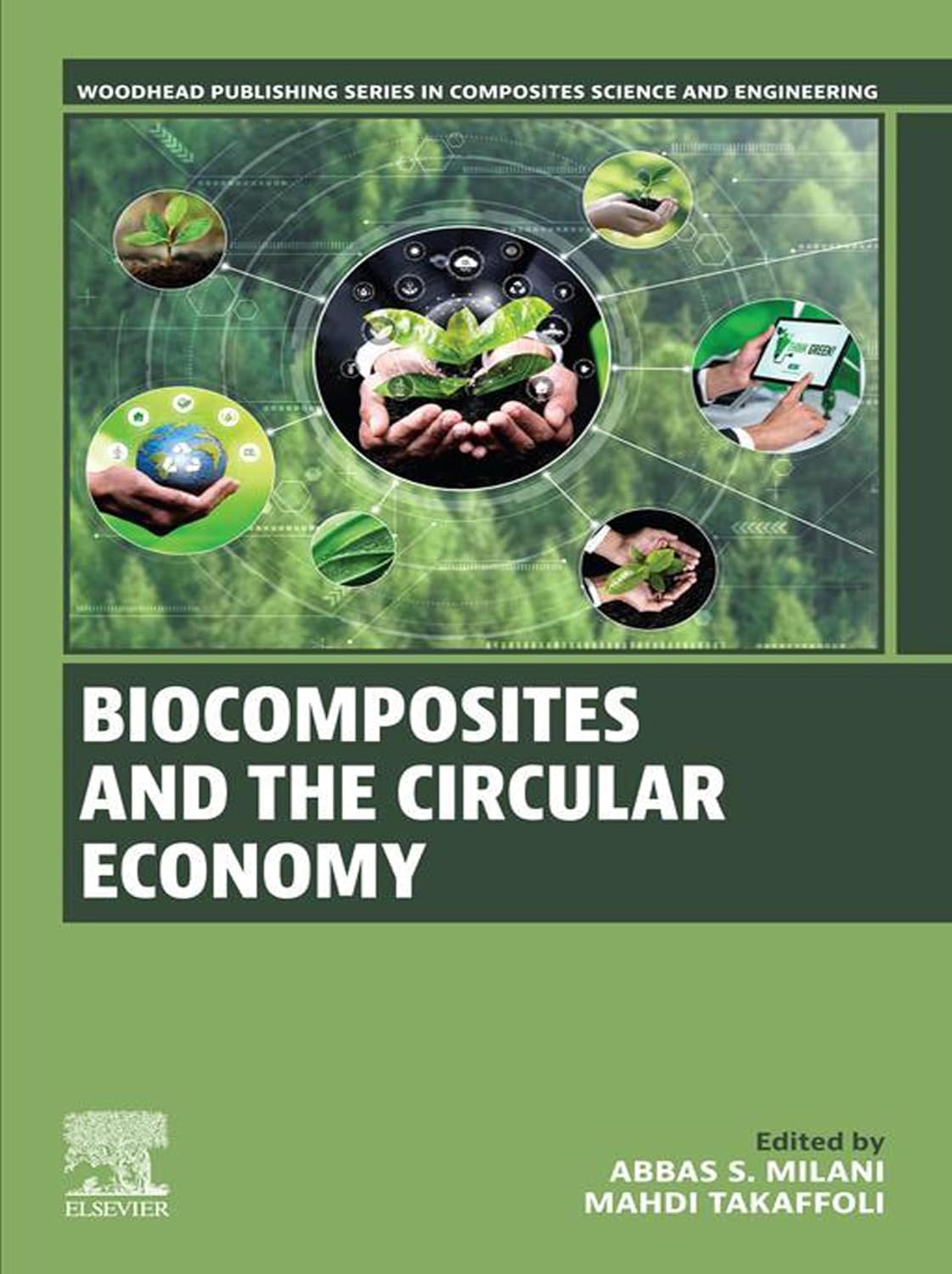 capítulo por capítulo baixar Biocomposites and the Circular Economy (Woodhead Publishing Series in Composites Science and Engineering) (English Edition)