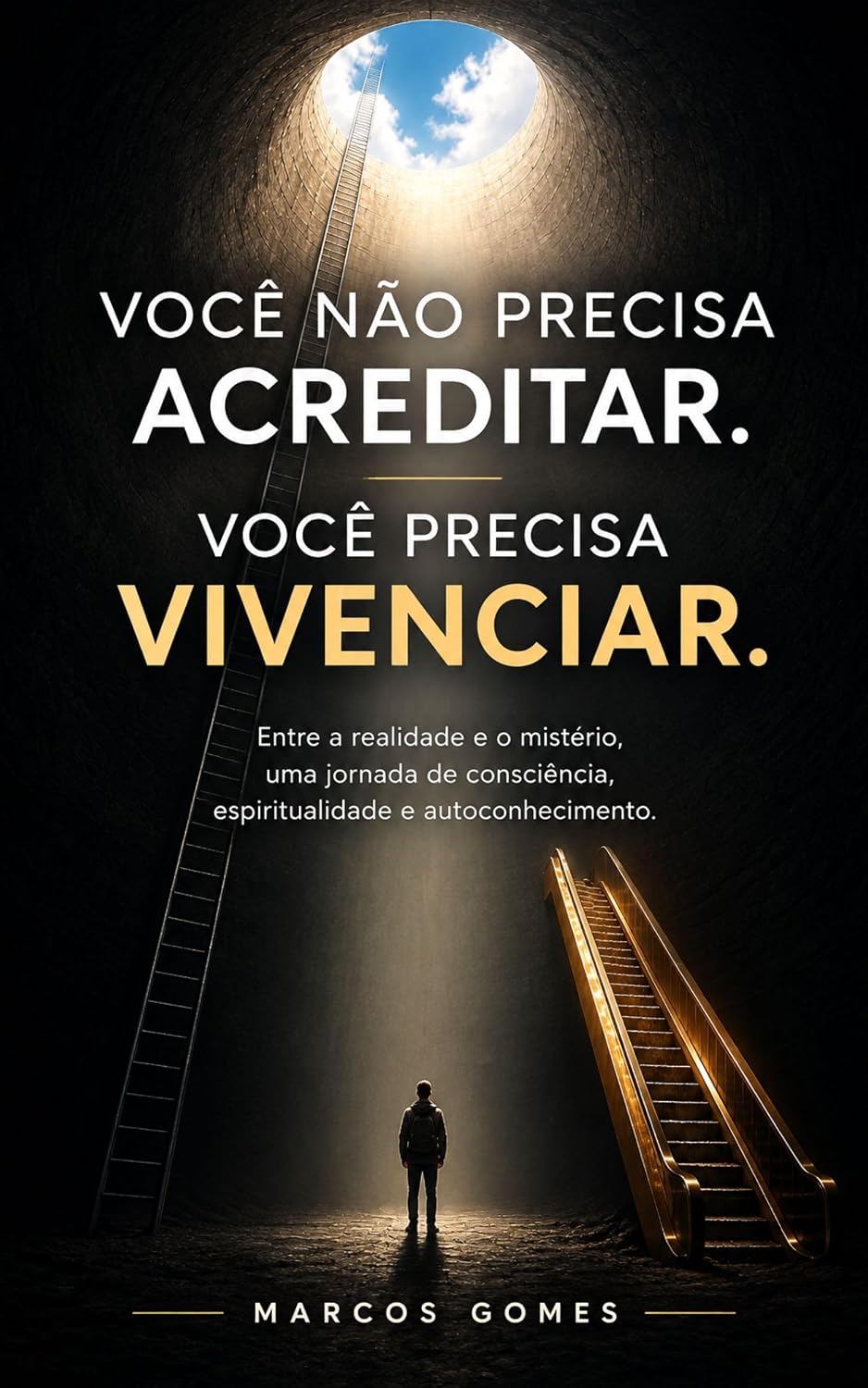 Você Não Precisa Acreditar. Você Precisa Vivenciar.: Entre a realidade e o mistério, uma jornada de consciência, espiritualidade e autoconhecimento baixar o livro de graça