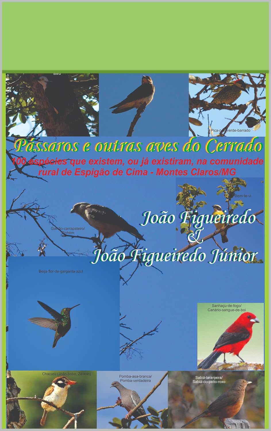 Pássaros e outras ves do Cerrado: 100 espécies que existem, ou existiram, na comunidade de Espigão de Cima, Montes Claros-MG baixar livro de graça