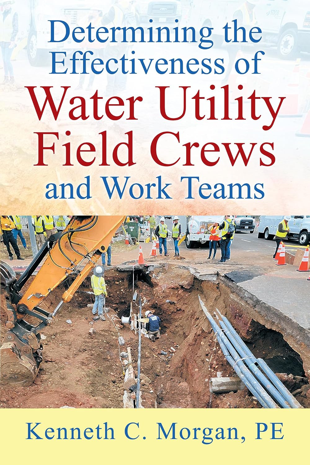 Determining the Effectiveness of Water Utility Field Crews and Work Teams (English Edition) baixar o livro de graça