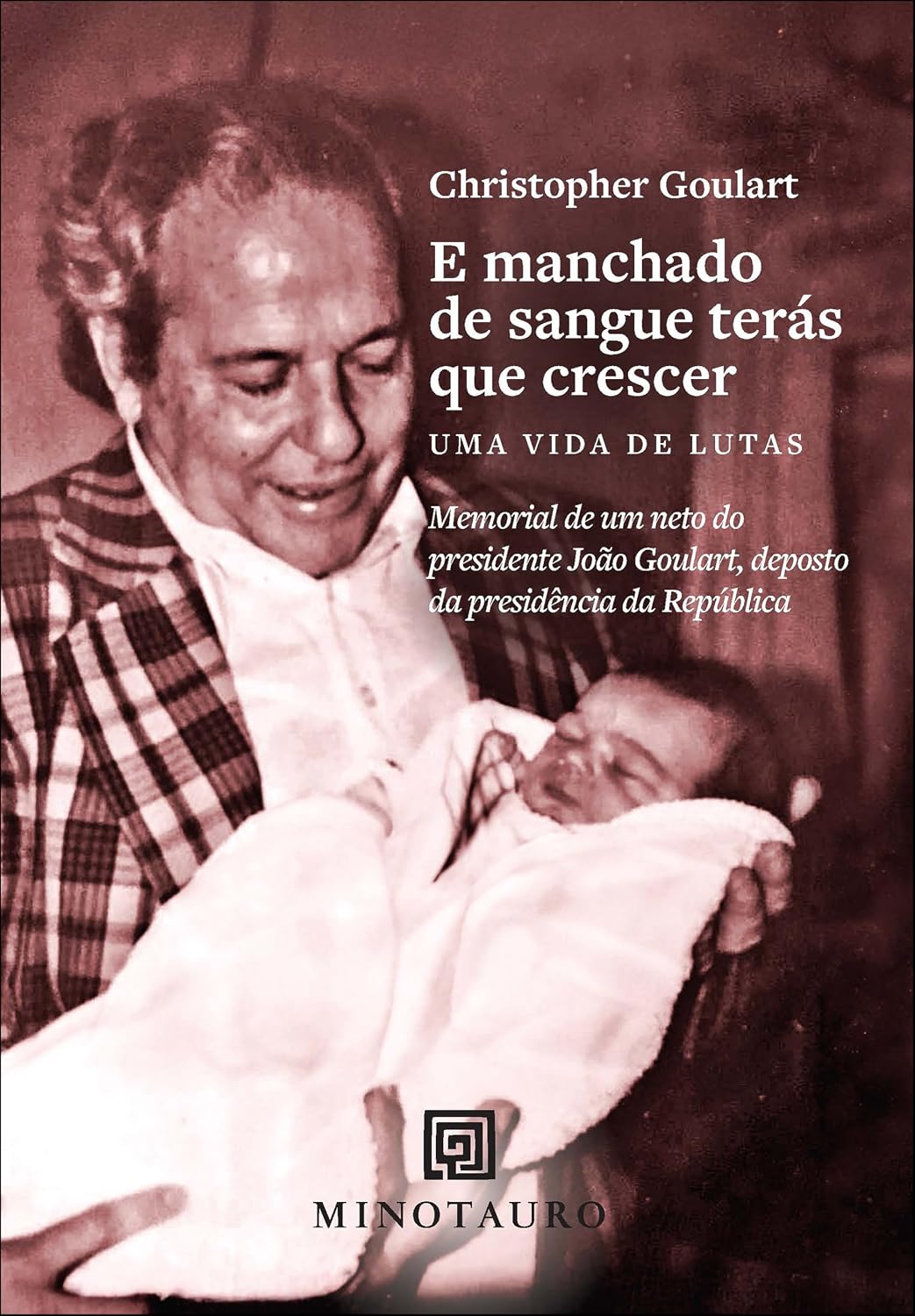 E manchado de sangue terás que crescer: uma vida de lutas baixar o livro de graça