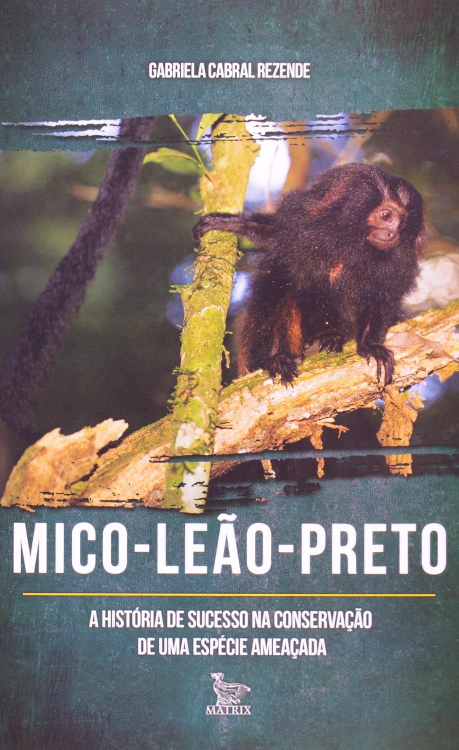 Mico Leão Preto