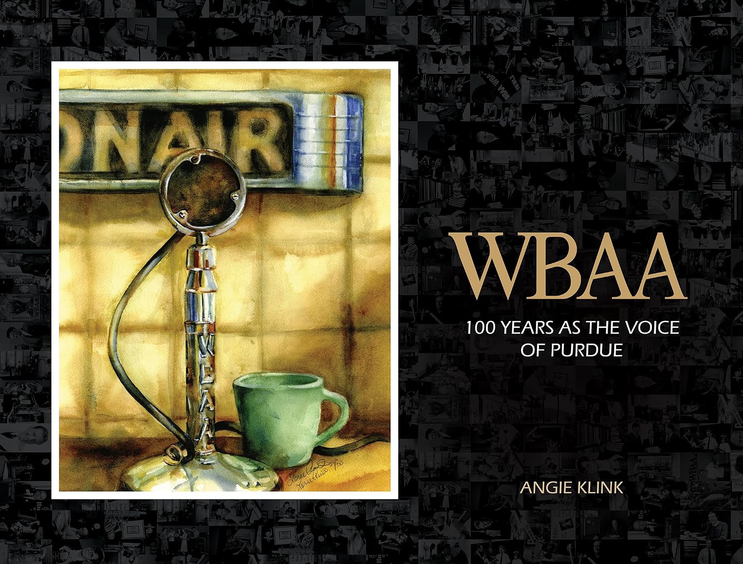 Wbaa: 100 Years as the Voice of Purdue baixar livro de graça