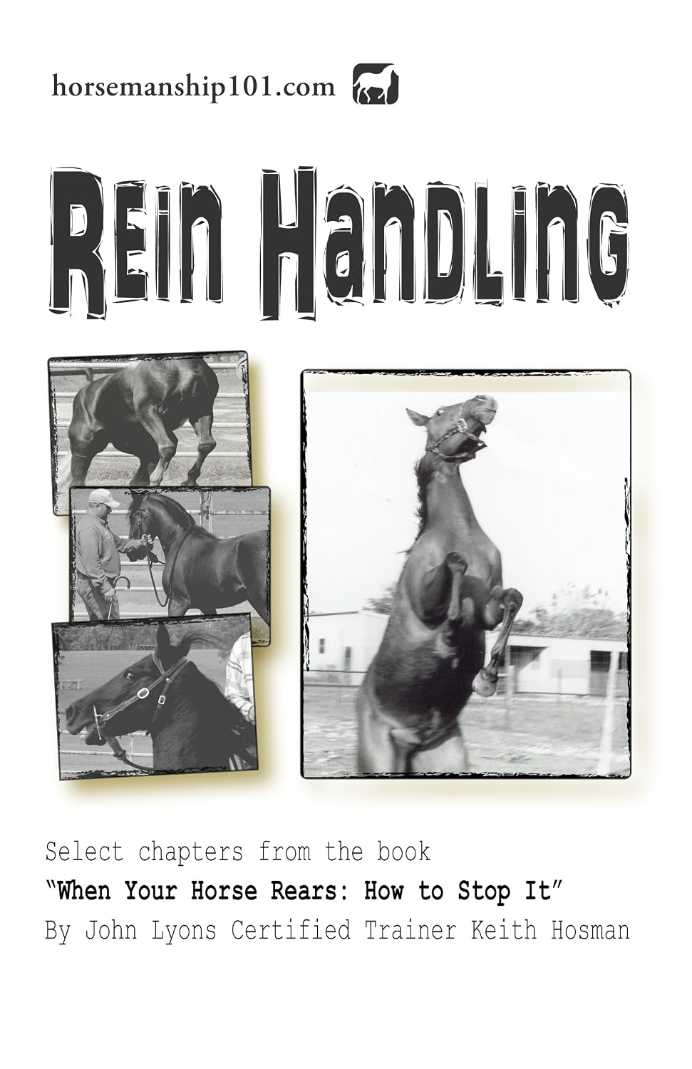 ler totalmente Rein Handling (When Your Horse Rears Book 6) (English Edition)