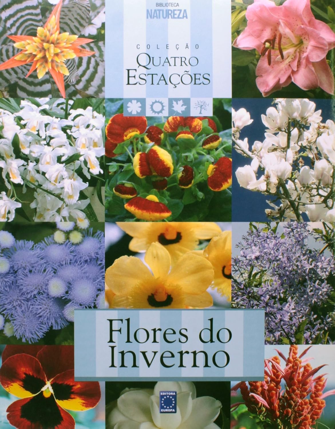 Coleção Quatro Estações Flores do Inverno