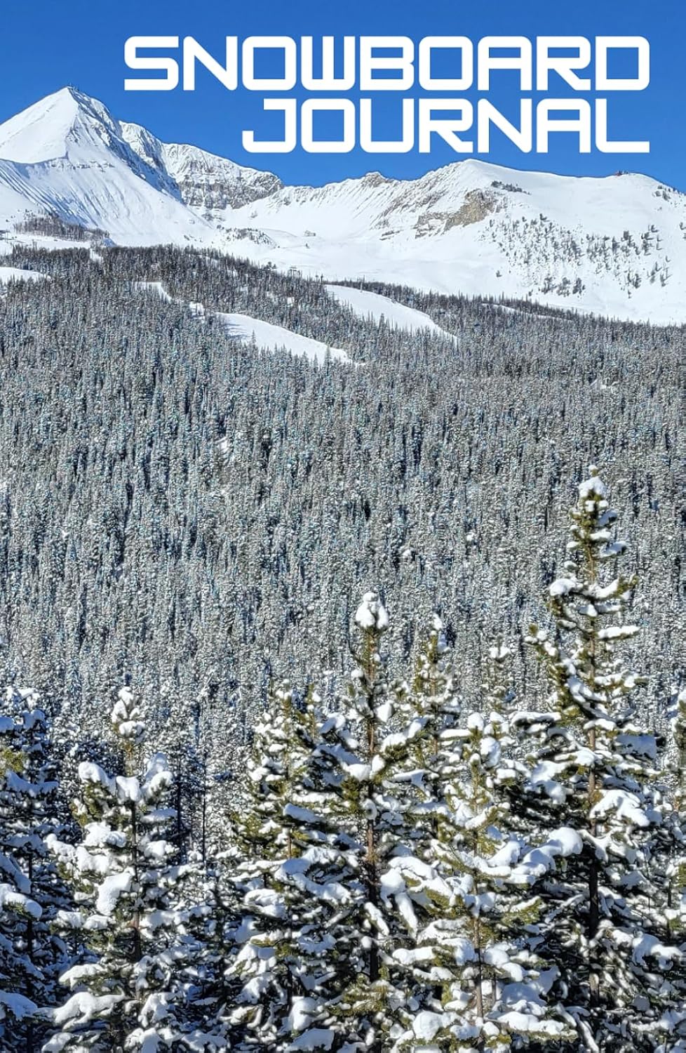 Snowboard Journal: A logbook for beginner, intermediate, and advanced snowboarders. baixar o livro de graça