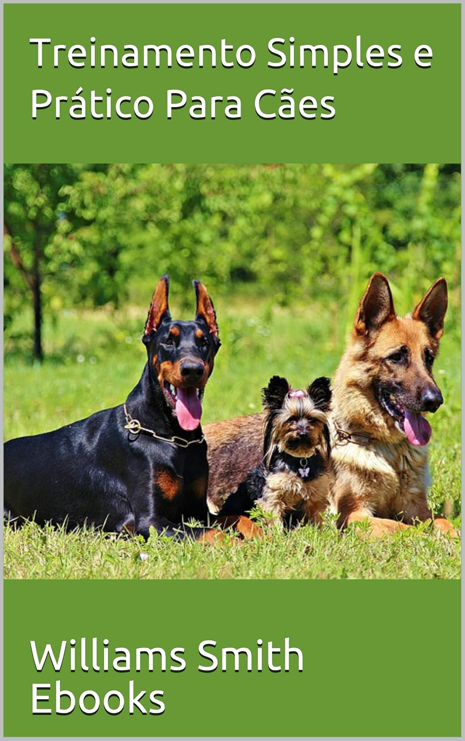 ler totalmente Treinamento Simples e Prático Para Cães