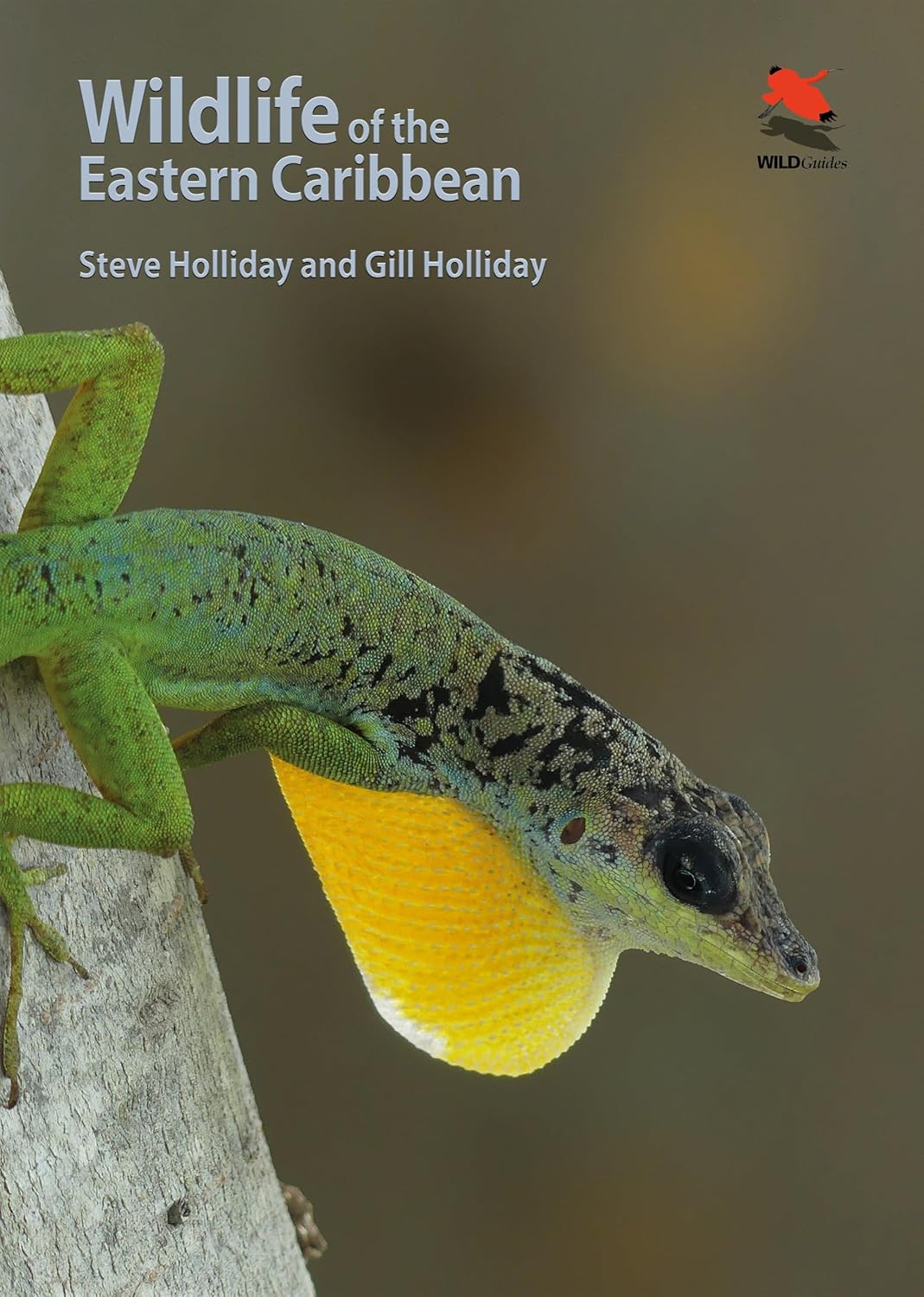 Wildlife of the Eastern Caribbean (WILDGuides) (English Edition) baixar o livro de graça