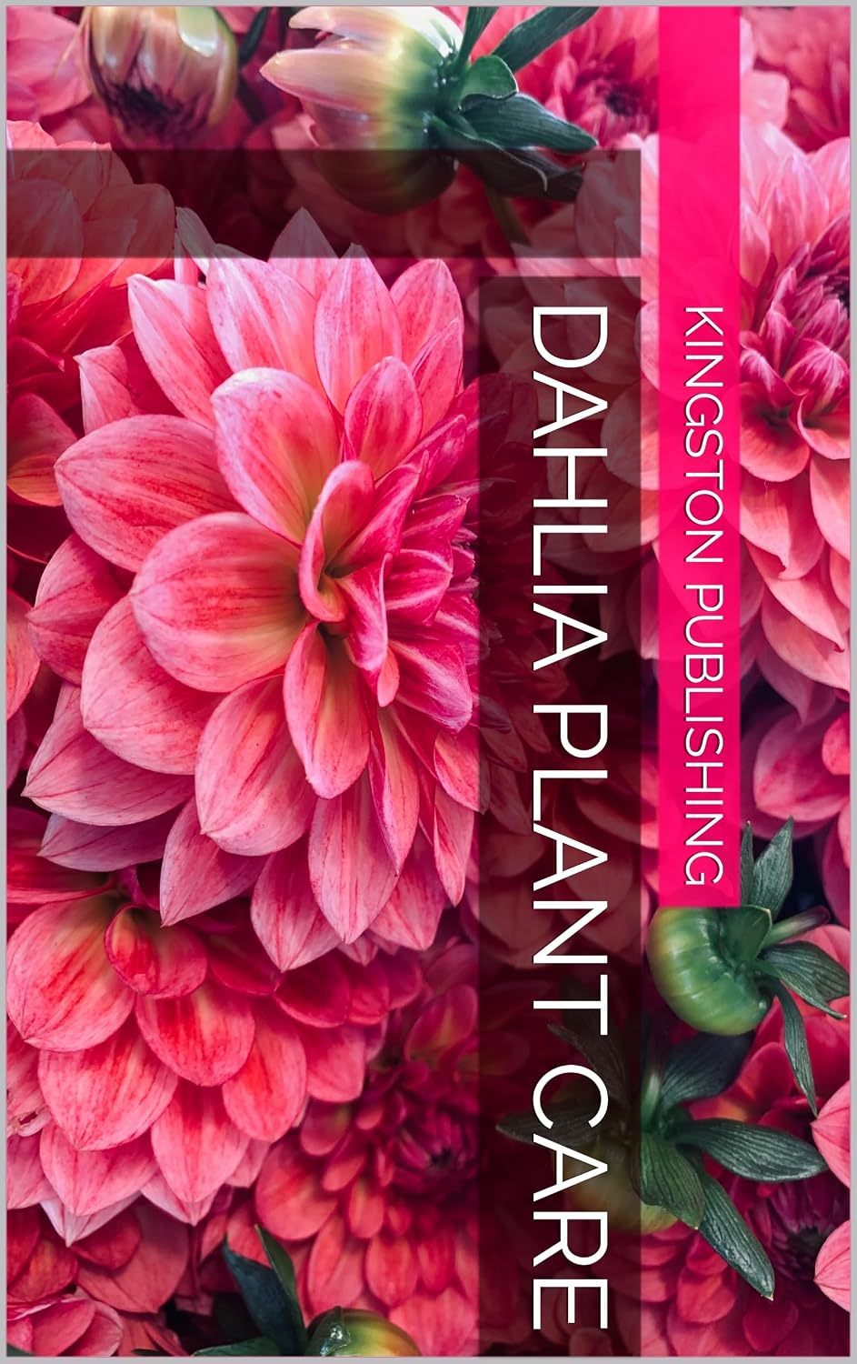 Dahlia Plant Care (Growing Flowers) (English Edition) baixar livro de graça