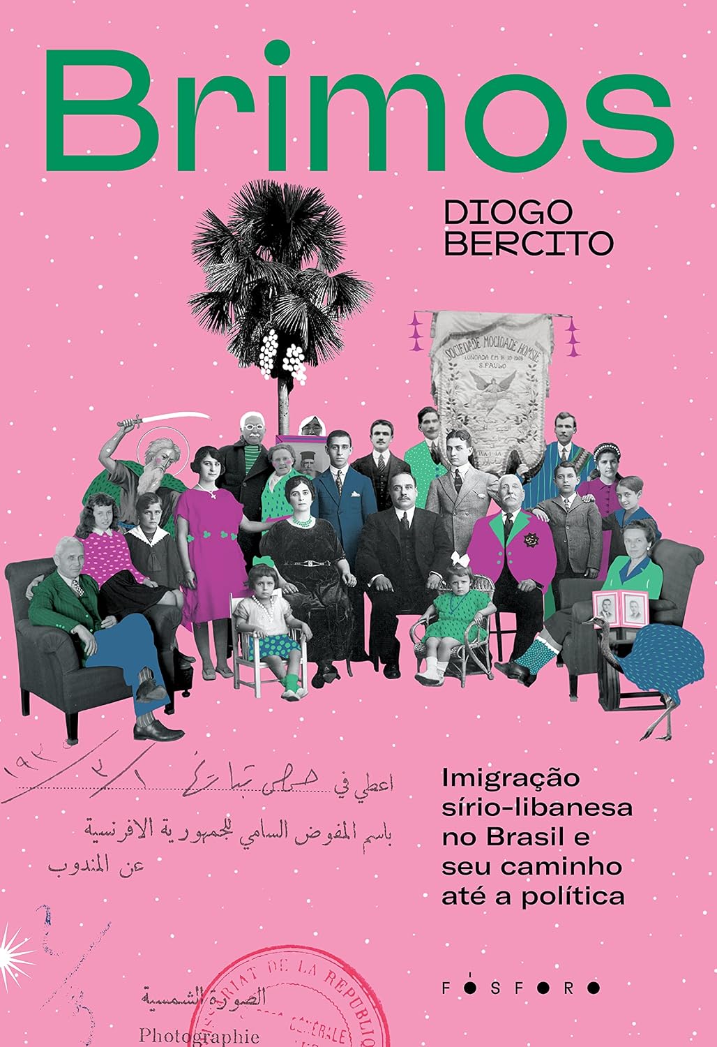 Brimos: Imigração sírio-libanesa no Brasil e seu caminho até a política baixar livro de graça