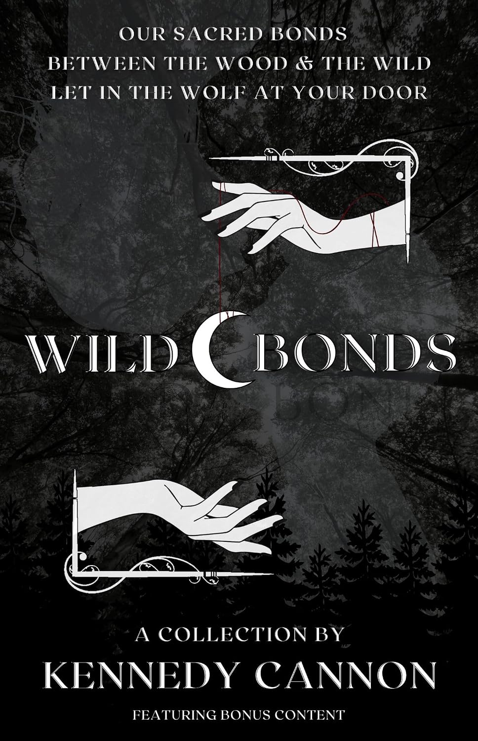ler totalmente Wild Bonds (English Edition)