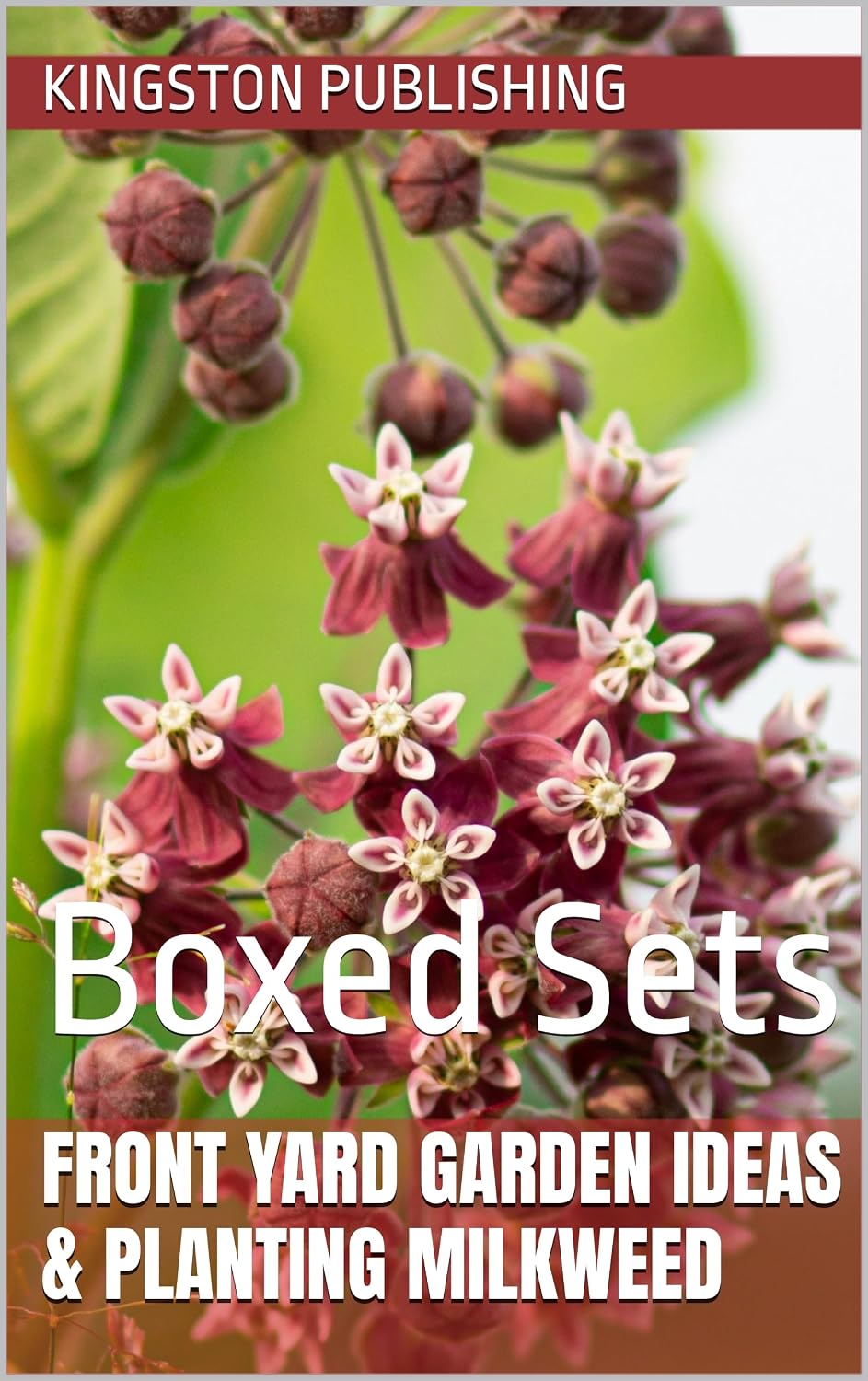 Front Yard Garden Ideas & Planting Milkweed: Boxed Sets (Landscaping Ideas) (English Edition) baixar o livro de graça