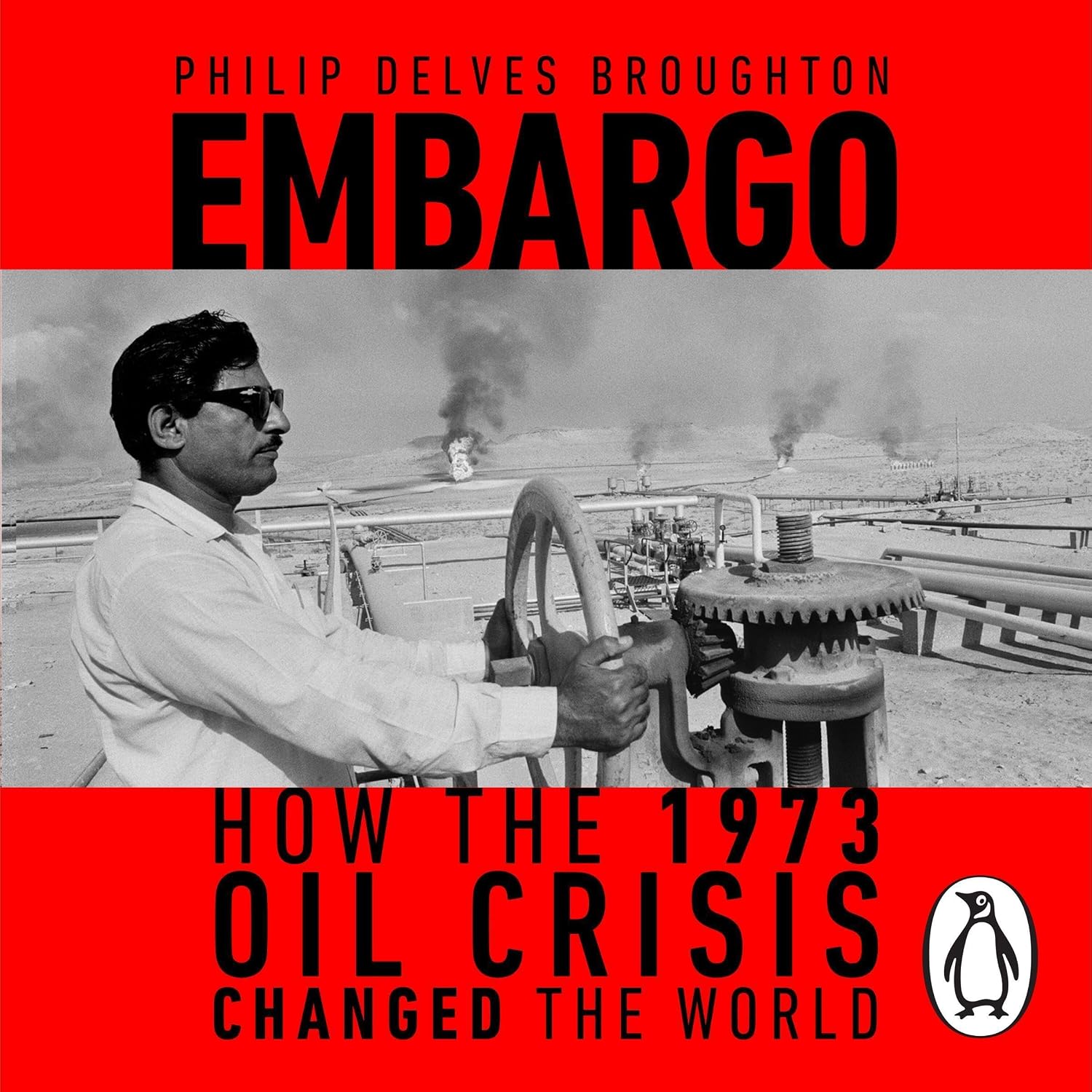 Embargo: How the 1973 Oil Crisis Changed the World baixar livro de graça