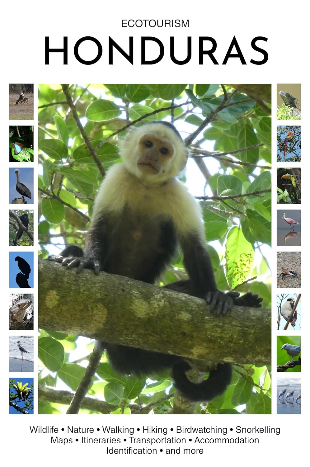 ler totalmente Ecotourism Honduras: Wildlife, Nature, Walking, Hiking, Birdwatching, Snorkelling, Maps, Itineraries, Transportation, Accommodation, Identification and more (Ecotourism Guides) (English Edition)