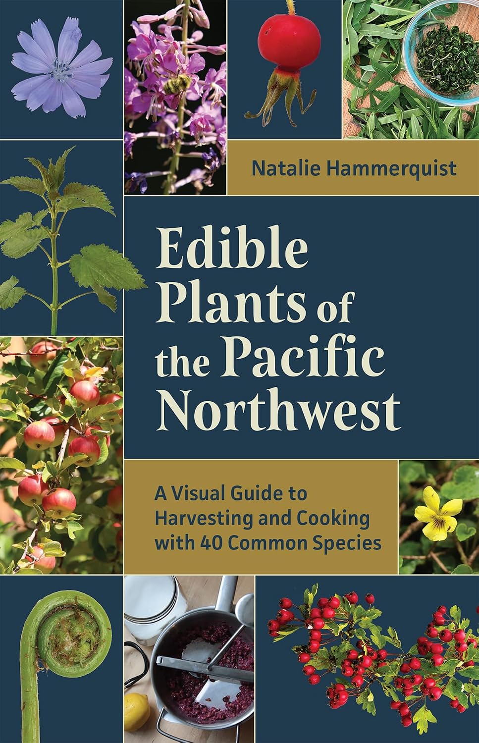 ler totalmente Edible Plants of the Pacific Northwest: A Visual Guide to Harvesting and Cooking with 40 Common Species (English Edition)