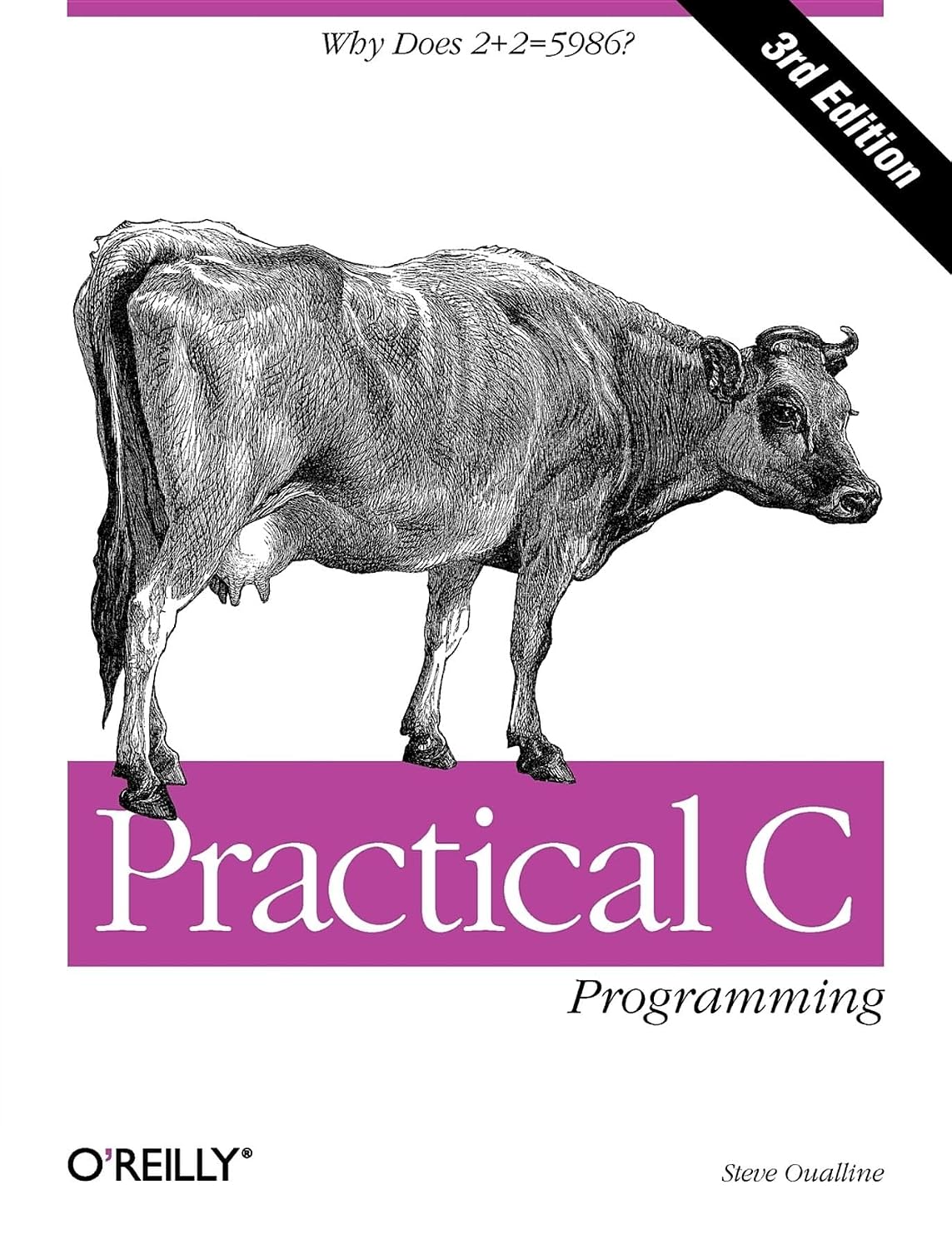 Practical C Programming: Why Does 2+2 = 5986? baixar o livro de graça