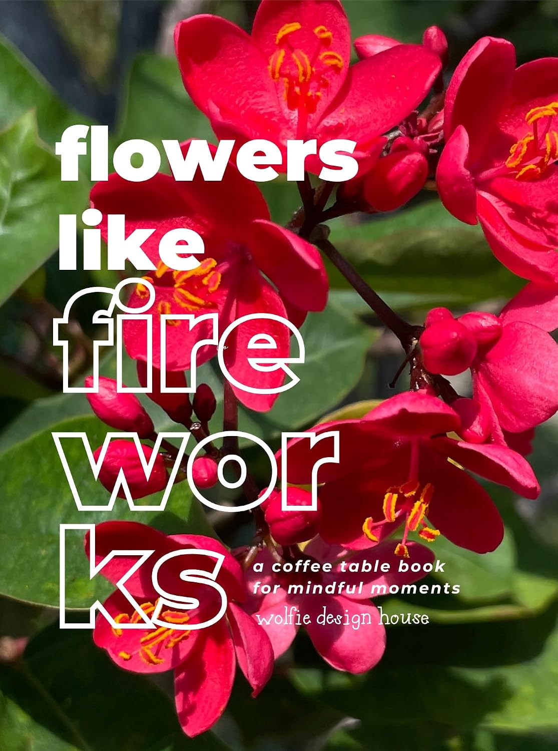 Flowers Like Fireworks: A Coffee Table Book for Mindful Moments (English Edition) baixar livro de graça