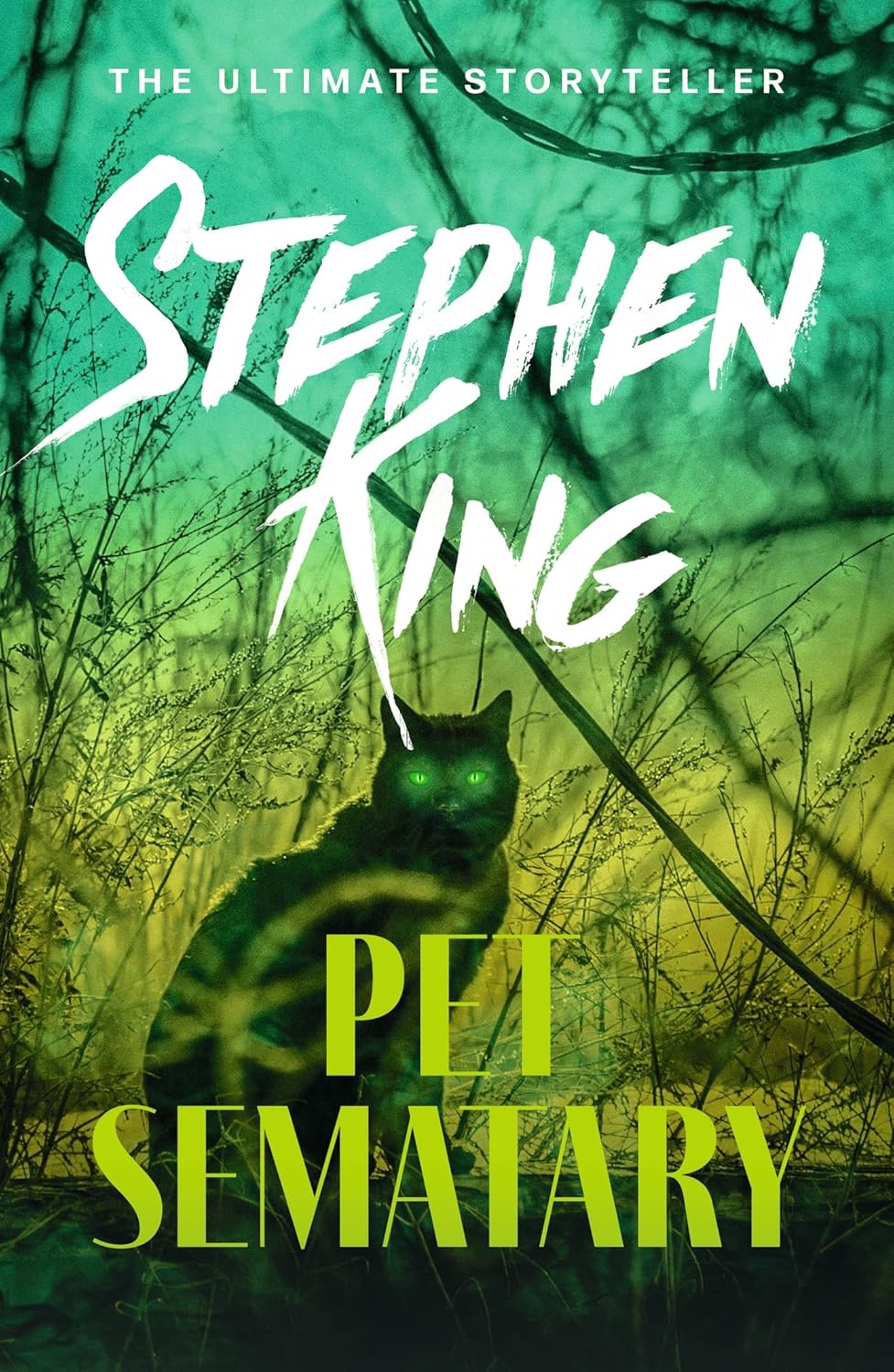 Pet Sematary: An iconic chiller from the No. 1 bestseller (English Edition) baixar livro de graça