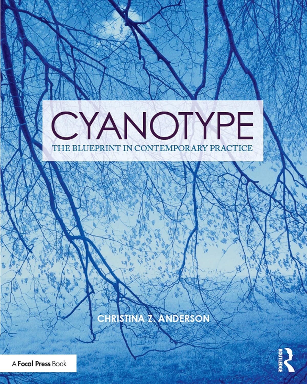 Cyanotype: The Blueprint in Contemporary Practice (Contemporary Practices in Alternative Process Photography) (English Edition) baixar o livro de graça