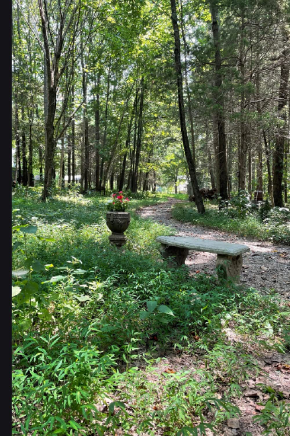 Journal: Backyard Bench and Path baixar livro de graça