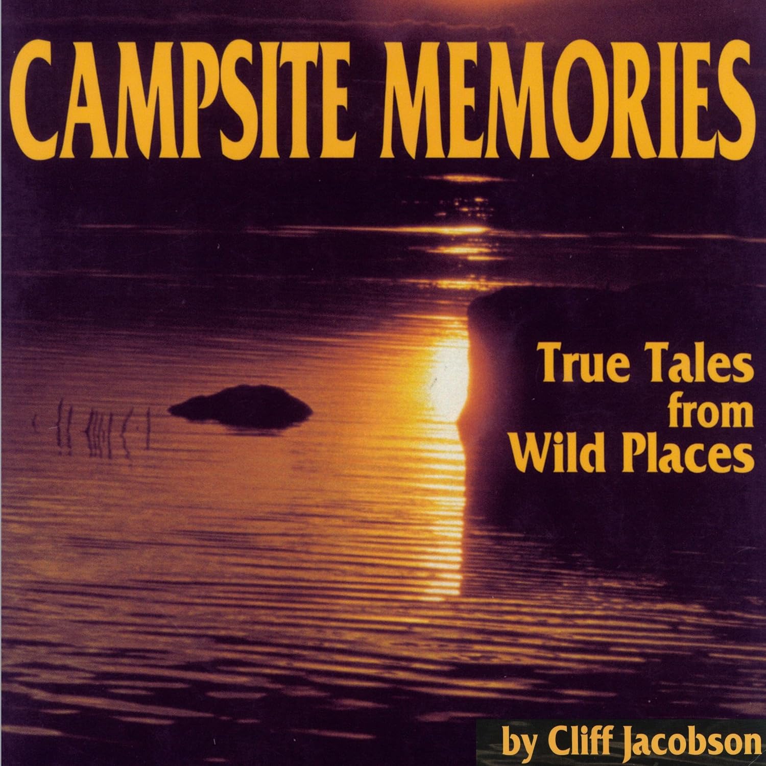 Campsite Memories: True Tales from Wild Places baixar o livro de graça