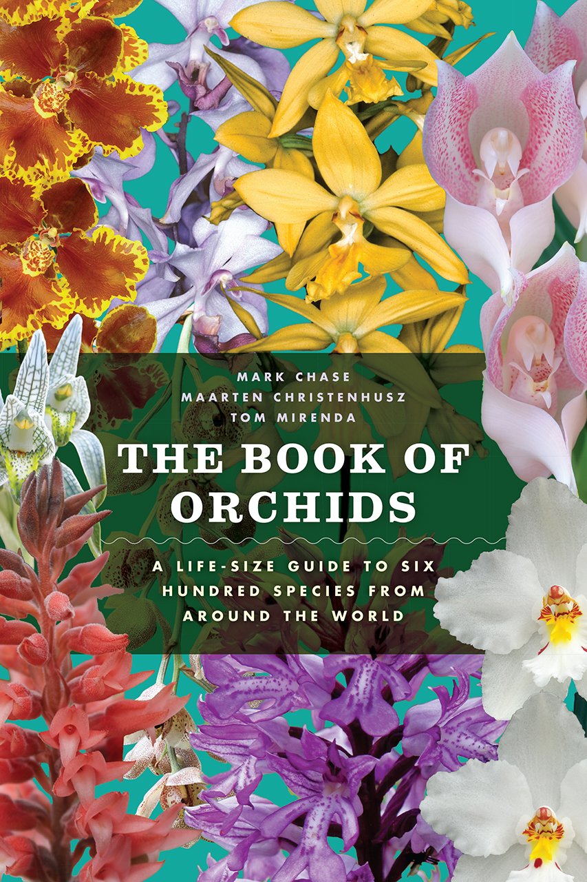 ler totalmente The Book of Orchids: A Life-Size Guide to Six Hundred Species from Around the World