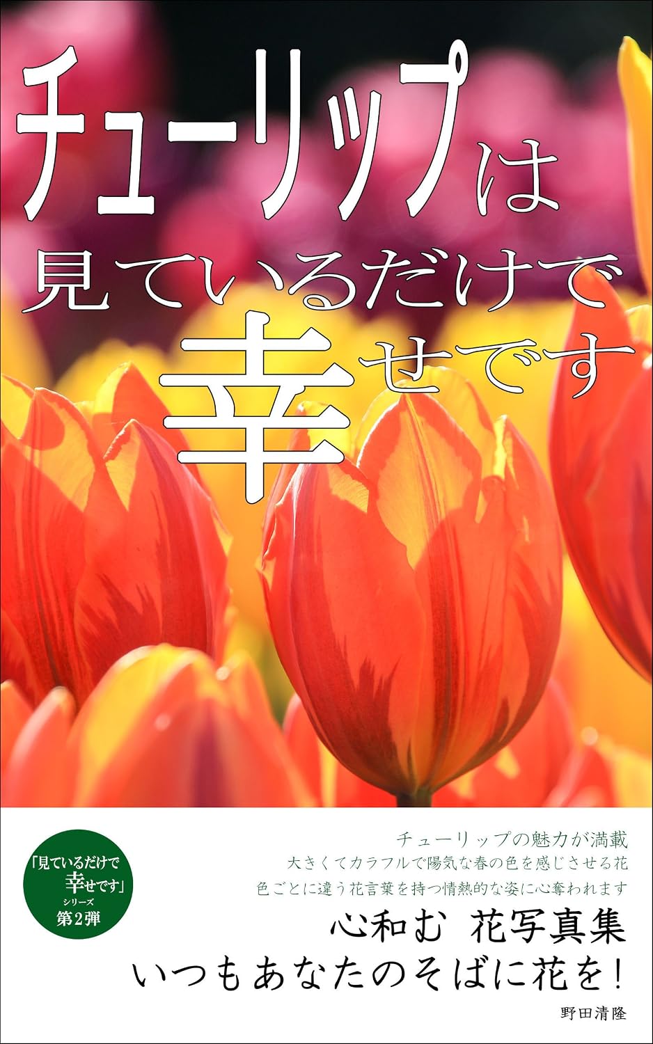 ler totalmente Tulip photo collection: Relaxing Flower Photo Album miteirudakede shiawasedesu (Japanese Edition)
