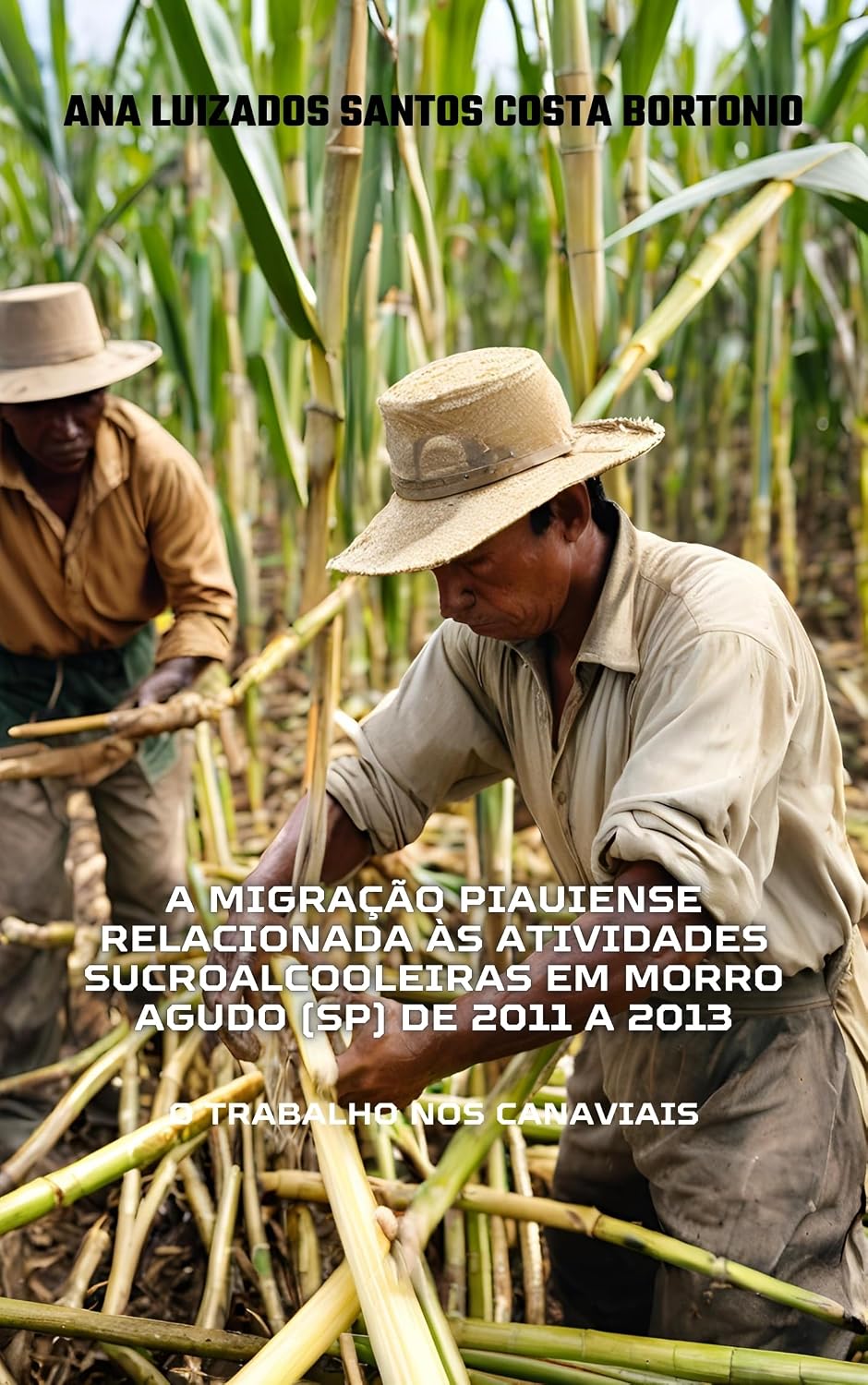 ler totalmente A MIGRAÇÃO PIAUIENSE RELACIONADA ÀS ATIVIDADES SUCROALCOOLEIRAS EM MORRO AGUDO (SP) DE 2011 A 2013: O TRABALHO NOS CANAVIAIS