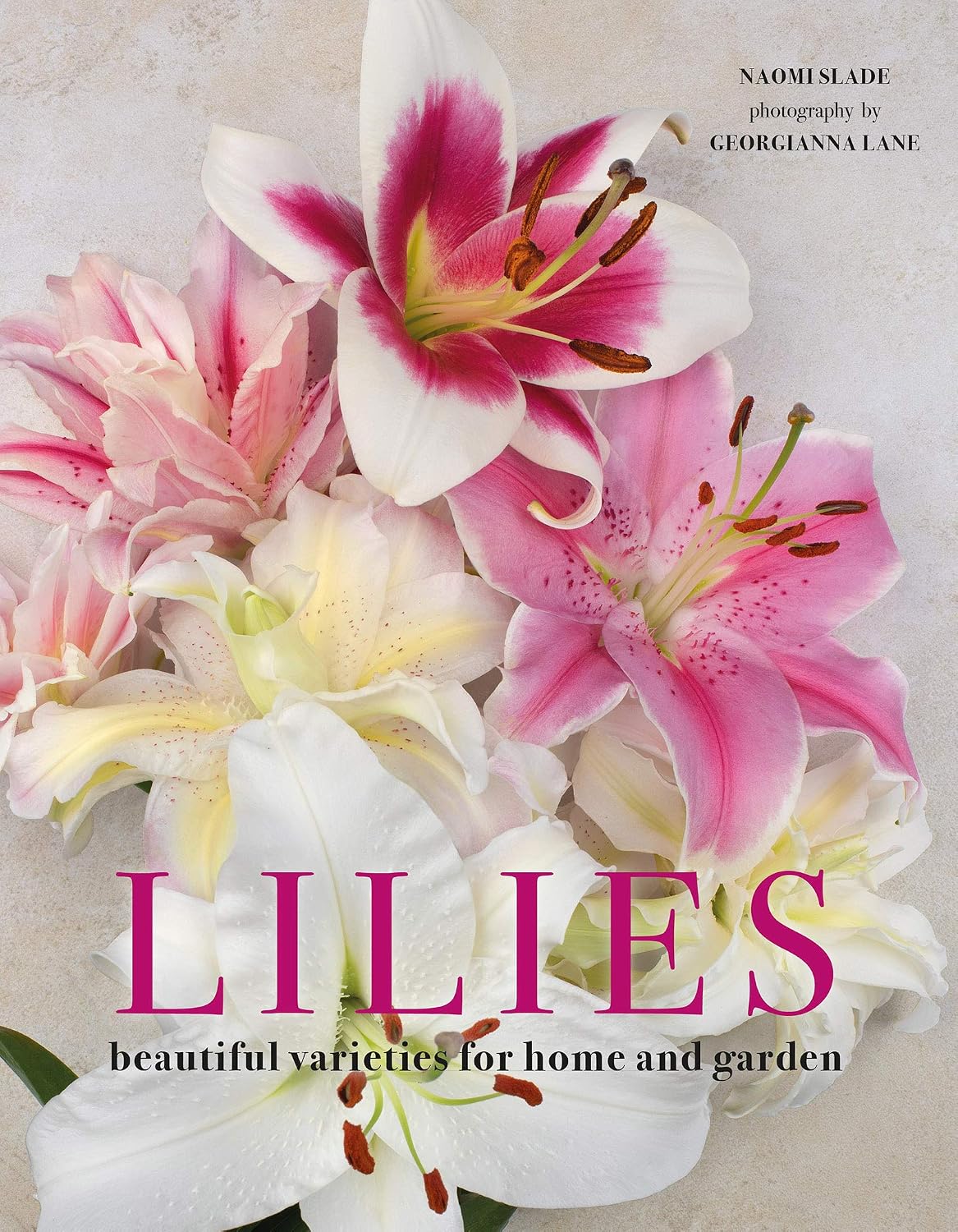 Lilies: Beautiful Varieties for Home and Garden baixar livro de graça