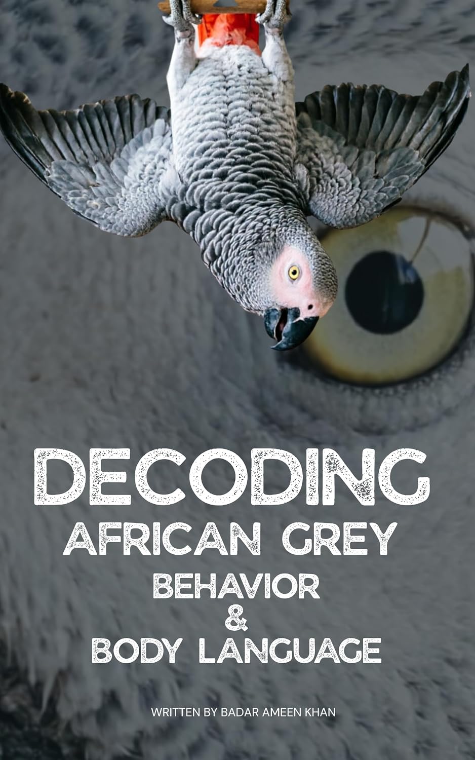 Decoding African Grey Parrot Behavior: Reading Eye-Pinning and Body Language, Solving Biting and Screaming (English Edition) baixar livro de graça