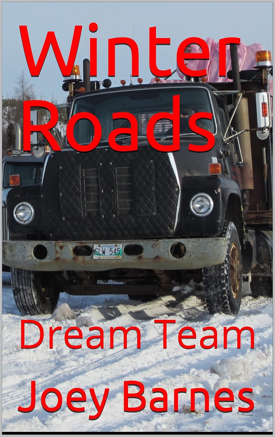 ler totalmente Winter Roads: Dream Team (King of Obsolete Winter Roads Book 4) (English Edition)