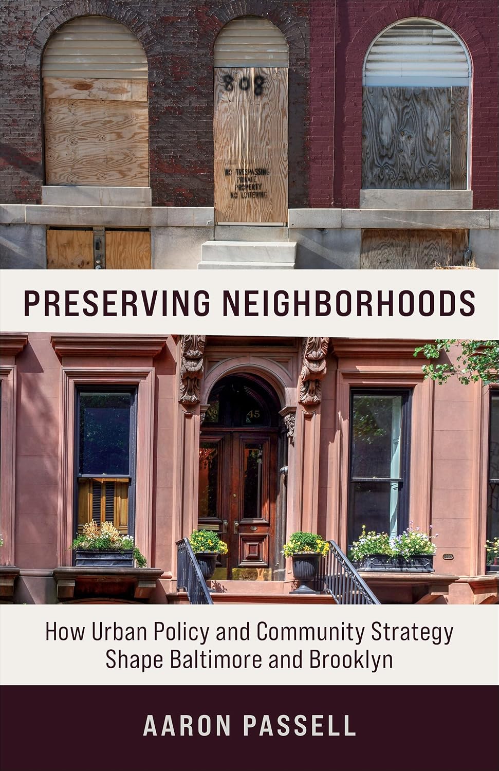 Preserving Neighborhoods: How Urban Policy and Community Strategy Shape Baltimore and Brooklyn (English Edition) baixar livro de graça