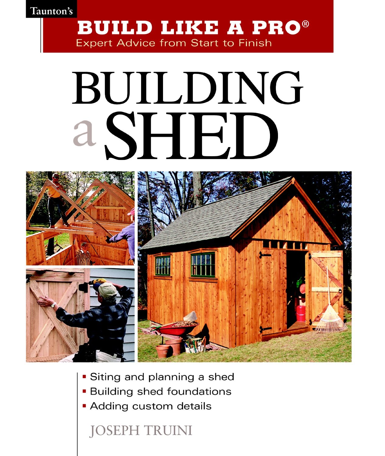 capítulo por capítulo baixar Building a Shed (Taunton's Build Like a Pro) (English Edition)