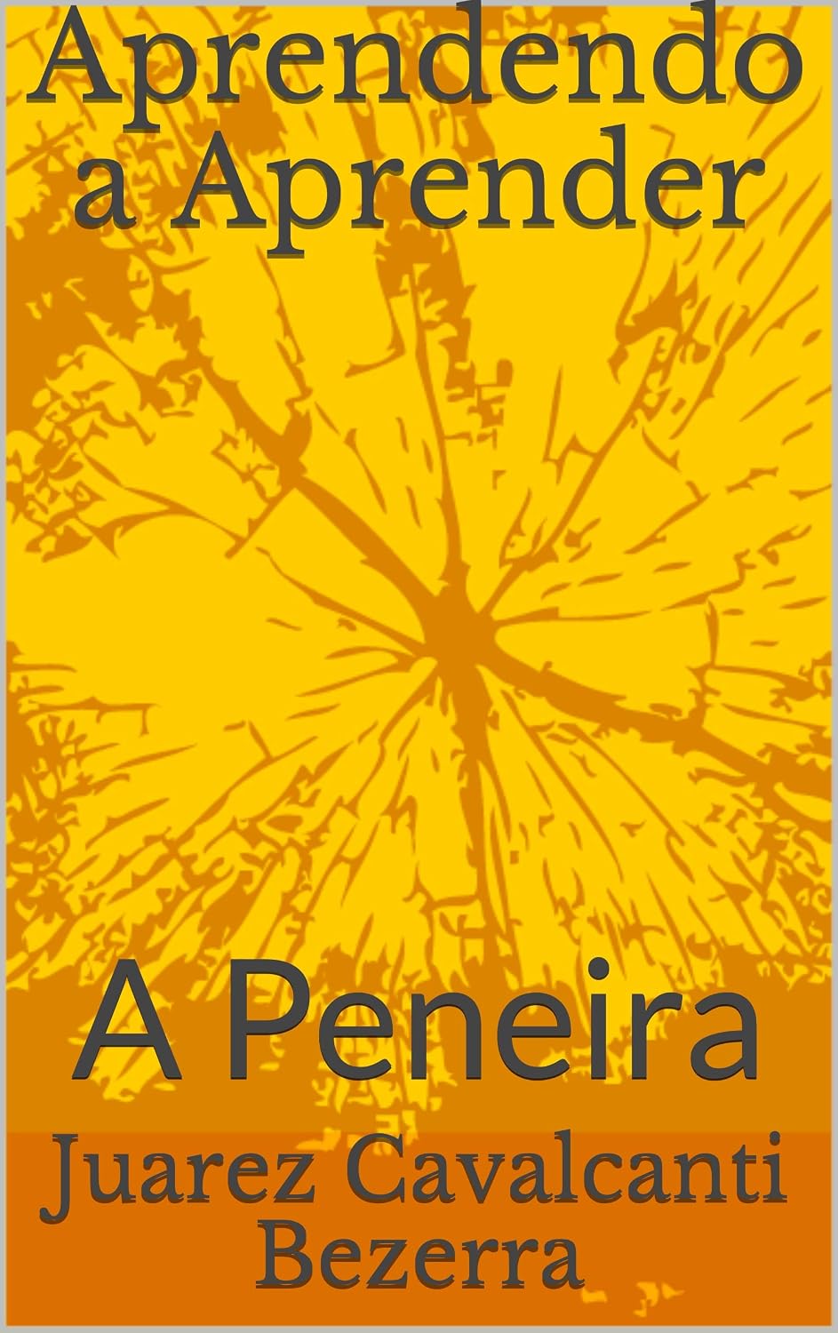 Aprendendo a Aprender: A Peneira baixar o livro de graça