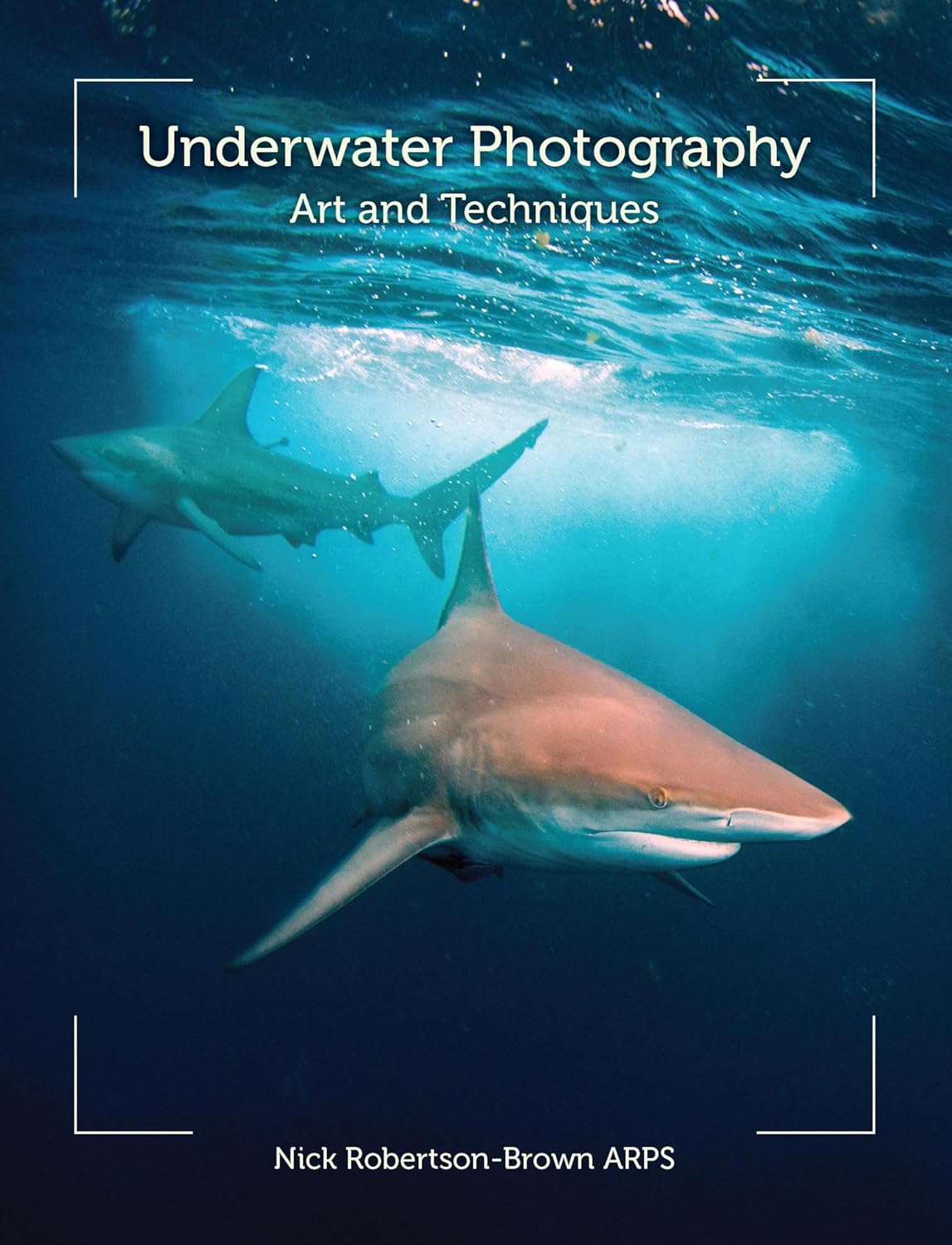 Underwater Photography: Art and Techniques (English Edition) baixar o livro de graça