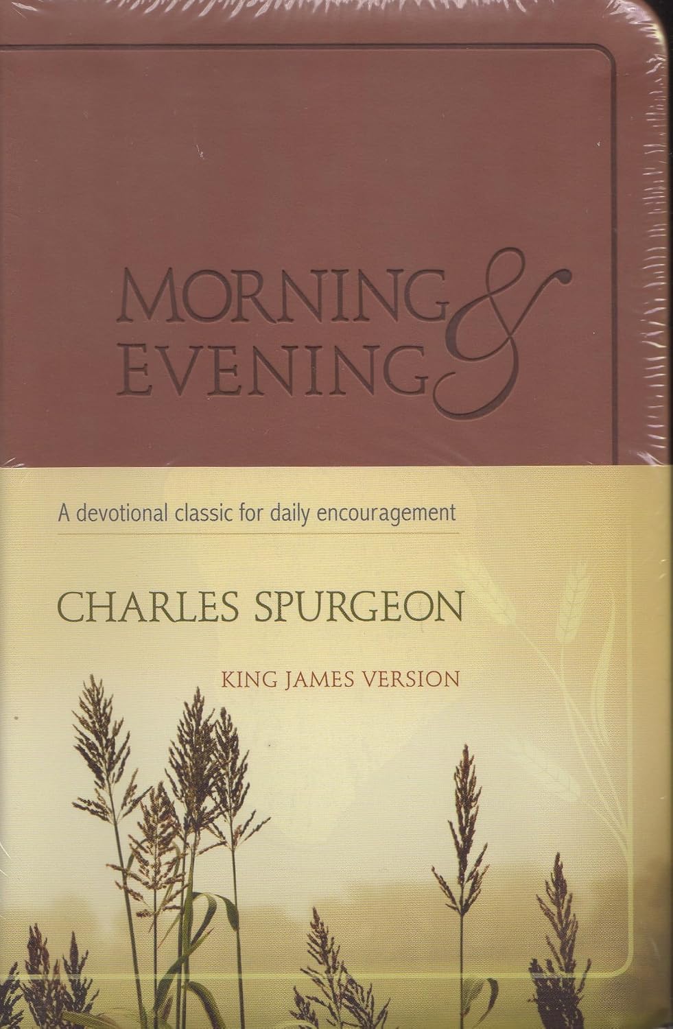 ler totalmente Morning and Evening: King James Version / A Devotional Classic For Daily Encouragement