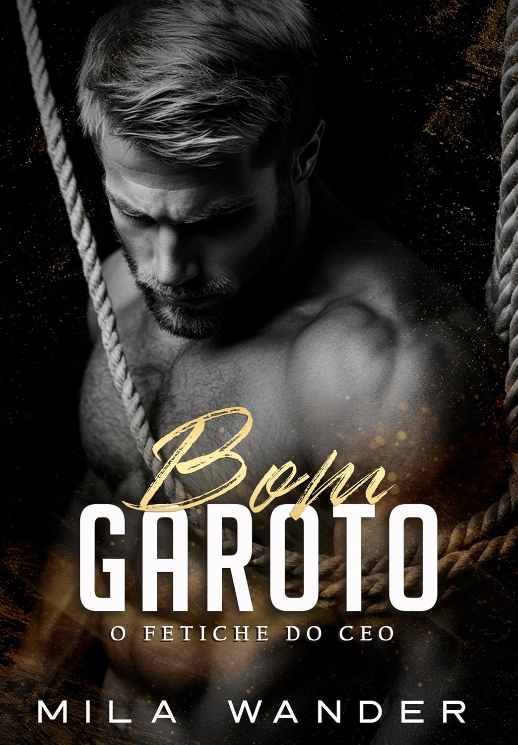 BOM GAROTO: O Fetiche do CEO baixar o livro de graça