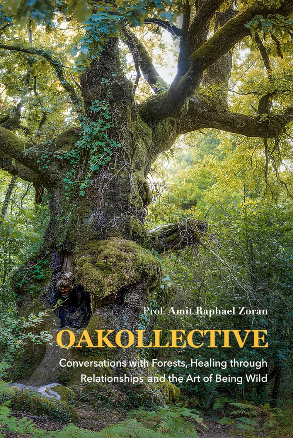 OAKOLLECTIVE: Conversations with Forests, Healing through Relationships, and the Art of Being Wild