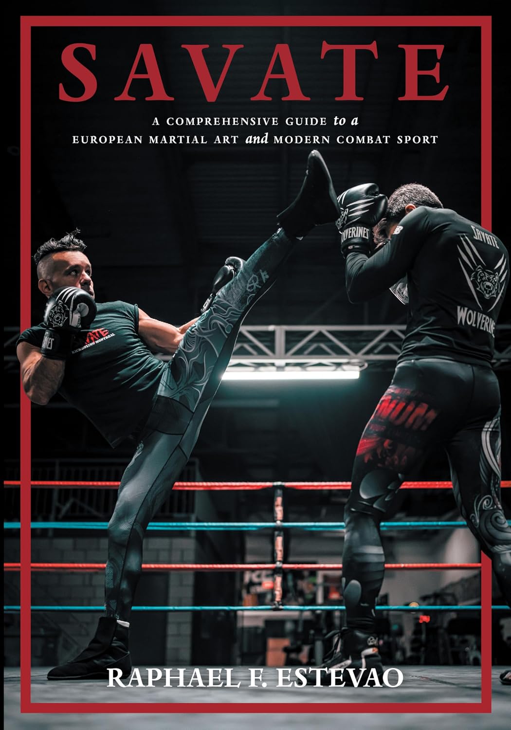 Savate: A Comprehensive Guide to a European Martial Art and Modern Combat Sport (English Edition) baixar livro de graça