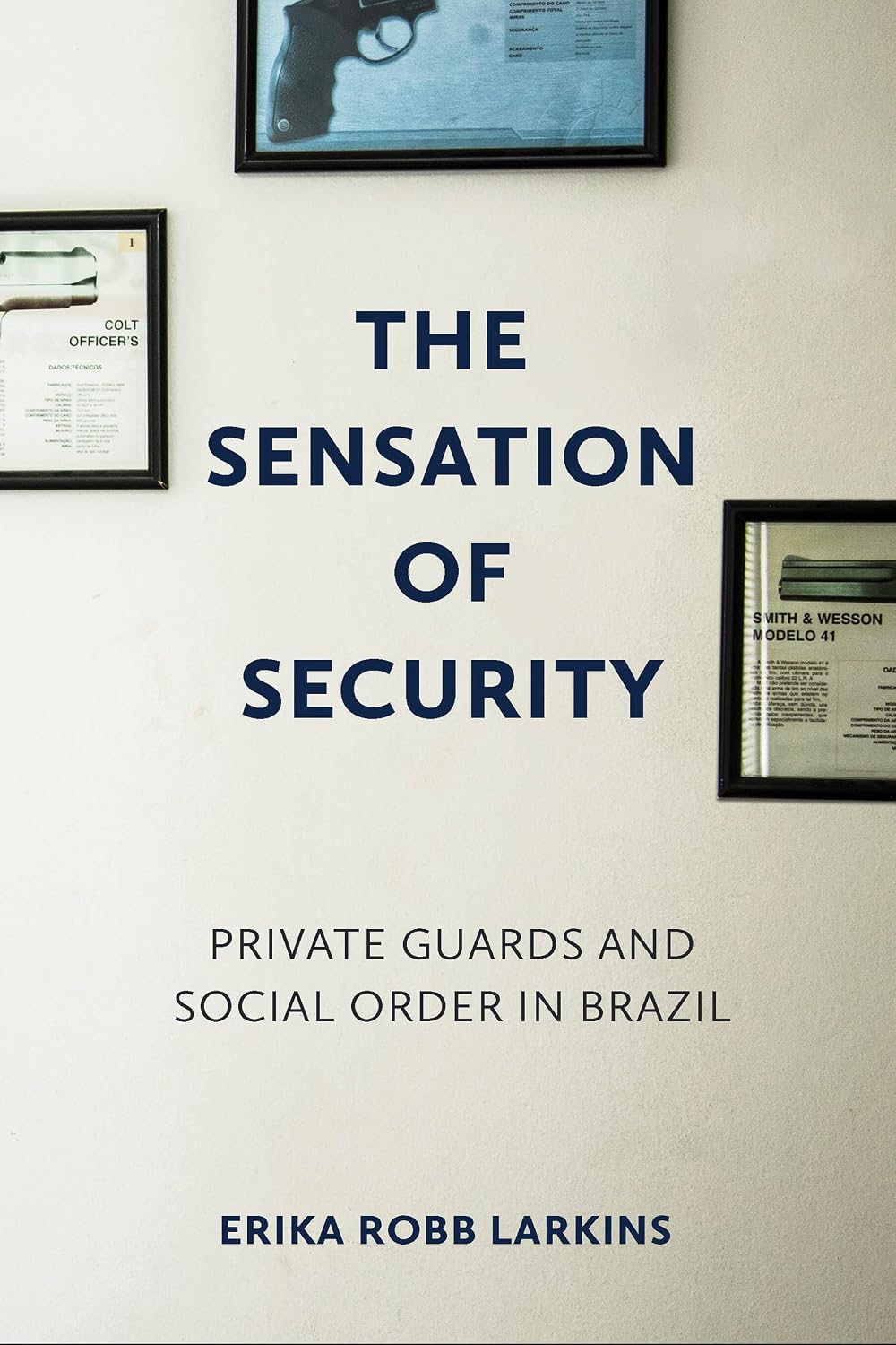 capítulo por capítulo baixar The Sensation of Security: Private Guards and Social Order in Brazil