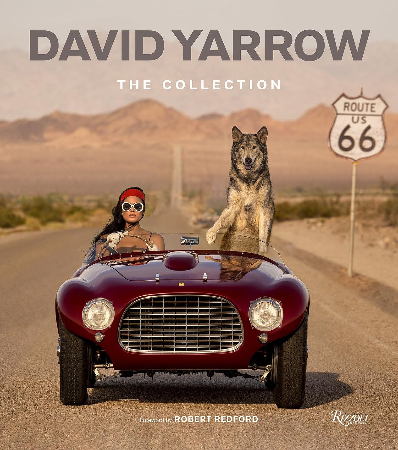 David Yarrow: The Collection baixar o livro de graça