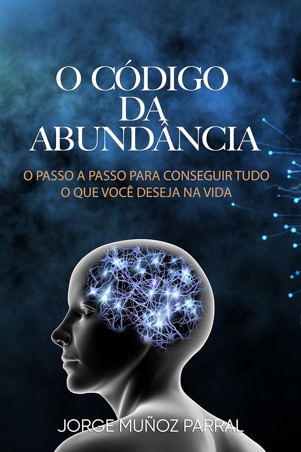 capítulo por capítulo baixar O CÓDIGO DA ABUNDÂNCIA: O passo a passo para conseguir tudo o que você deseja na vida