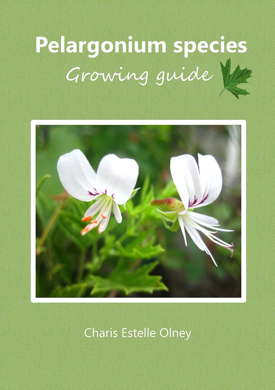 ler totalmente Pelargonium species growing guide (English Edition)