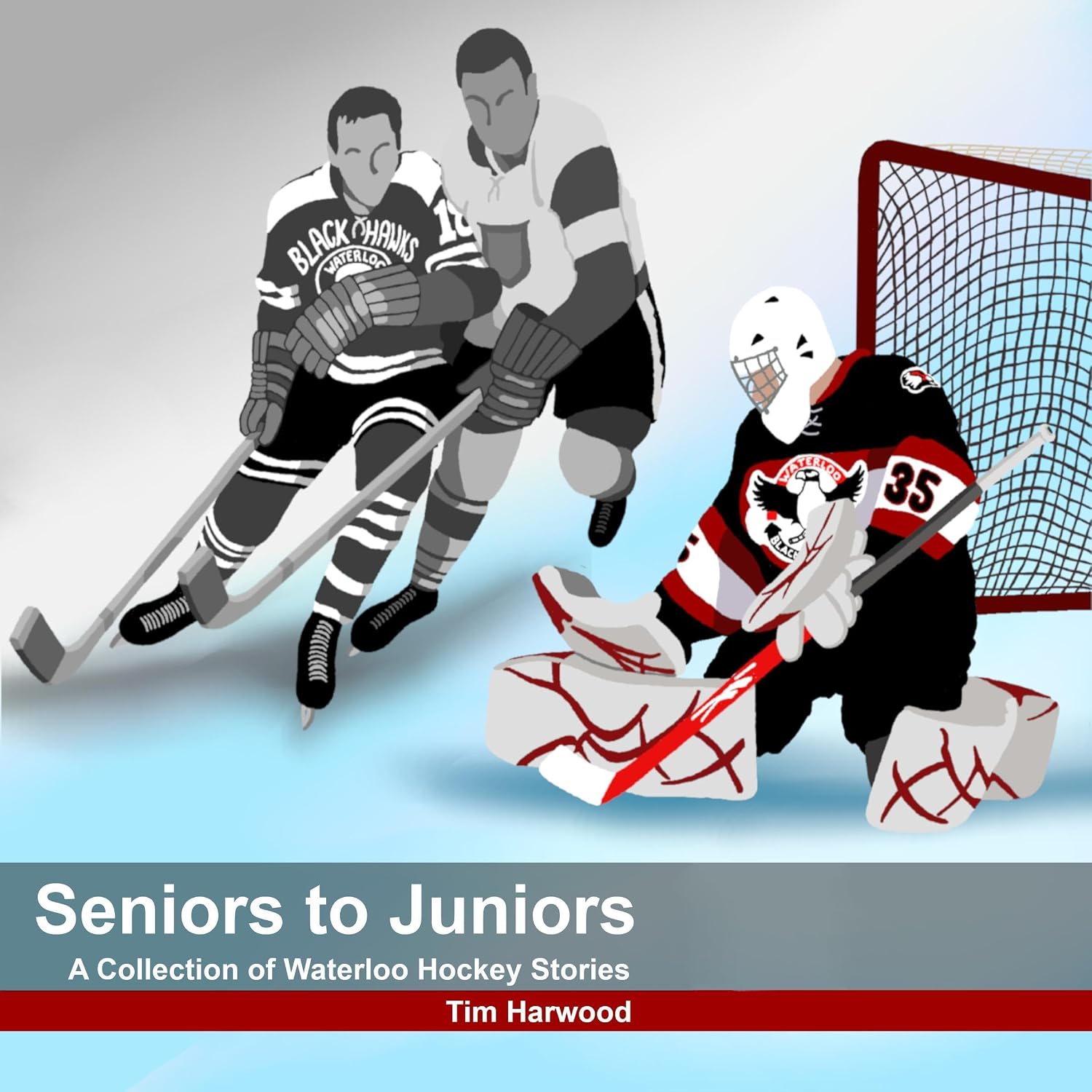 ler totalmente Seniors to Juniors: A Collection of Waterloo Hockey Stories